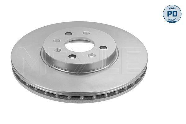 Ön Fren Disk Takım Astra H 4 Bijon 6155216032 Meyle - 1